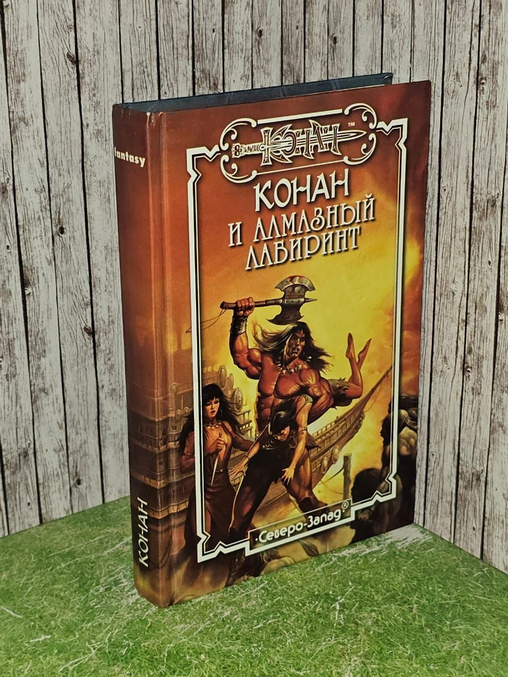 Конан и алмазный лабиринт. Олдмен Андре, Стайл Кристина