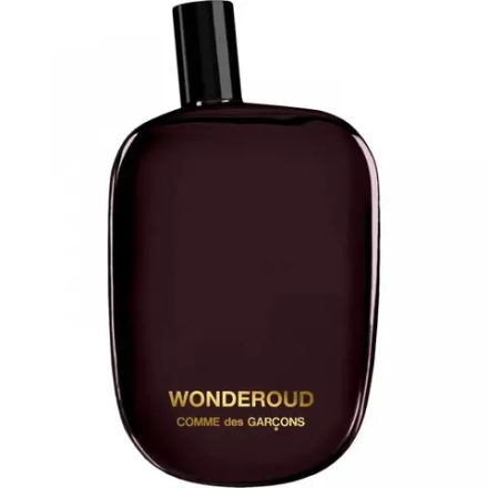 Comme Des Garcons Wonderoud