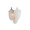 Бра Odeon Light PORCELA 5051/3W