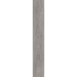 Laurel Oak 51942