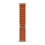 Умные часы Apple Watch Ultra 3 (2025) GPS + Cellular, 49mm, Natural Titanium Case with Terra Cotta Alpine Loop, M