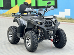 Квадроцикл PROMAX ATV 250 MAX (2025)