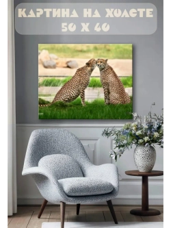 Картина на стену 40 X 50 Гепарды