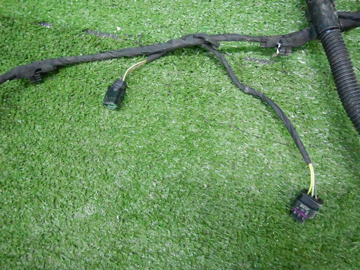 DSCN7019.JPG
