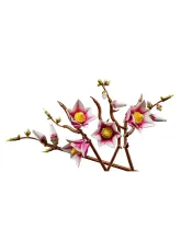 Конструктор Botanicals 11510 Ветви магнолии