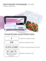 Настольный вакуумный упаковщик DZ-290P