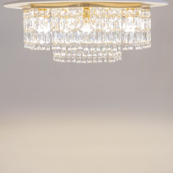 Потолочный светильник Maytoni DIA005CL-10G