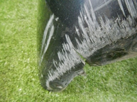 DSCN1911.jpg