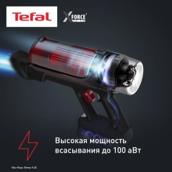 Пылесос вертикальный Tefal TY2079WO