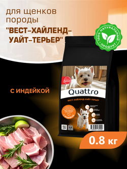 Корм сухой для щенков породы Вест-хайленд-уайт-терьер, с индейкой, 800 гр, QUATTRO