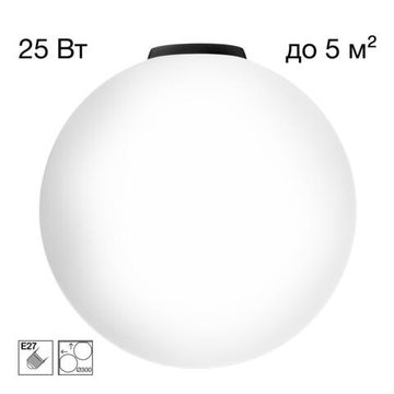 Потолочный светильник Ø300 1*Е27 CL941D30B5 чёрный Ron Citilux