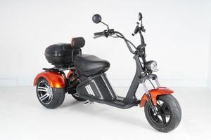 Трехколесный электроскутер Mangosteen M2P (60V 30А/40A 2000W) (ПОД ЗАКАЗ)