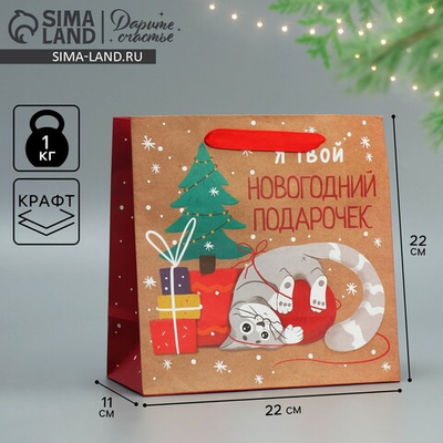 Пакет подарочный, упаковка, «Подарочек», 22×22×11 см