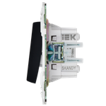 SKANDY Выключатель 2-клавишный перекрестный 10А SK-V06G графит IEK