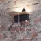 Настенный светильник Woody 3868/8WL Odeon Light