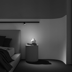 Магнитный трековый светильник Maytoni Focus LED TR032-2-5W2.7K-M-B