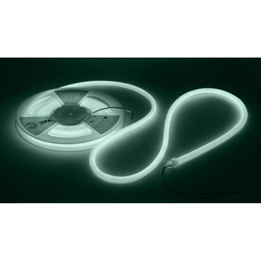 Лента светодиодная термостойкая для бани ЭРА LS2835-9,6-120-24-6500K-IP68-3 year-5m холодный белый | Светодиодная лента для бани и сауны 24В 3 года и аксессуары