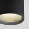 Потолочный светильник уличный Light 35128/H черный Elektrostandard