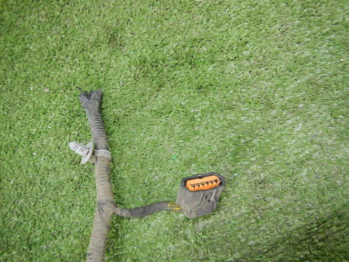 DSCN1962.JPG