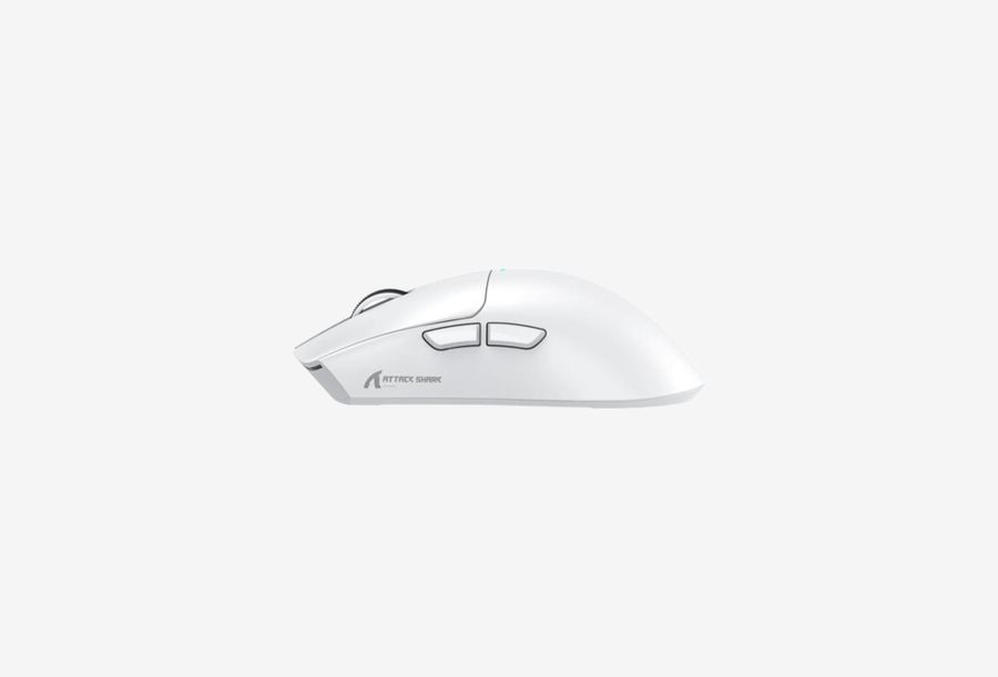 Shark X11 White_0226930101853
