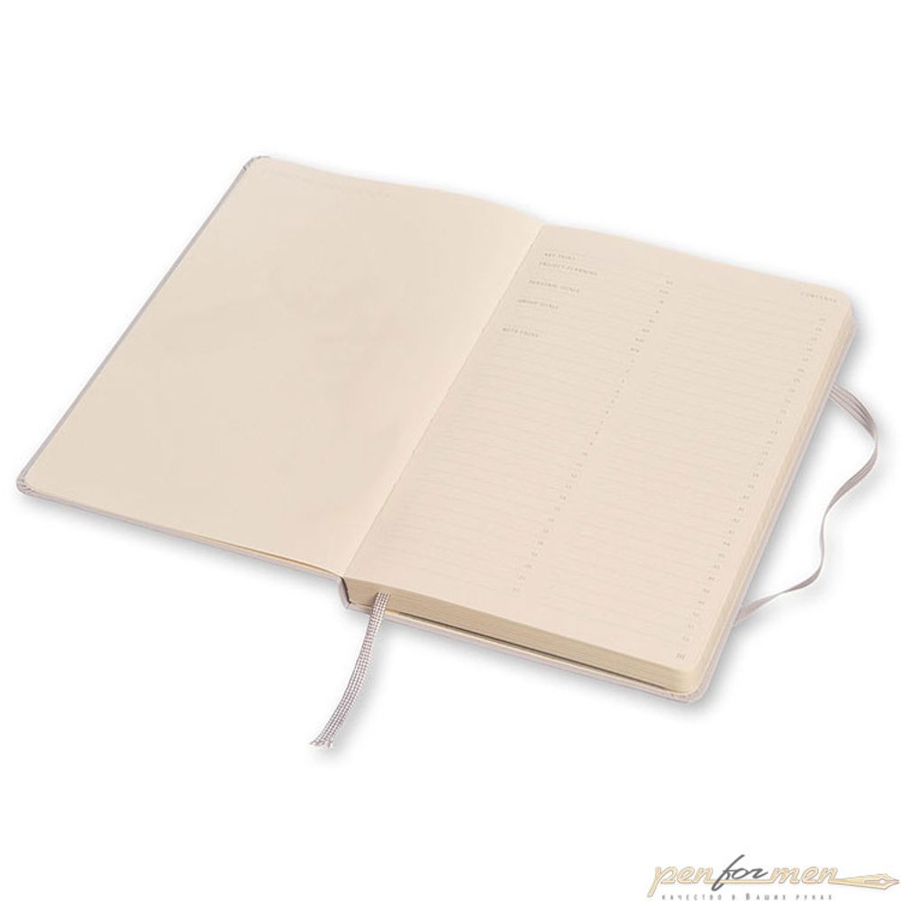 Блокнот Moleskine Professional Large (PROPFNTB3HG24)