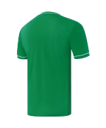 Футболка игровая Jogel DIVISION PerFormDRY Element Jersey 26, зеленый 72