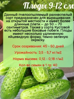 Семена Огурец Кустовой Пчелоопыляемый раннеспелый 2гр