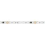Лента DMX-B60-10mm 24V RGB-PX6 (15 W/m, IP20, 5060, 5m) (Arlight, -)