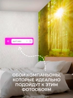 Фотообои на стену Зеленый лес 300х270см