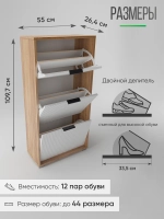 Закрытая обувница в прихожую ОБВ-69-7-1