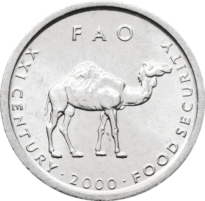 10 шиллингов 2000 Сомали ФАО. Верблюд