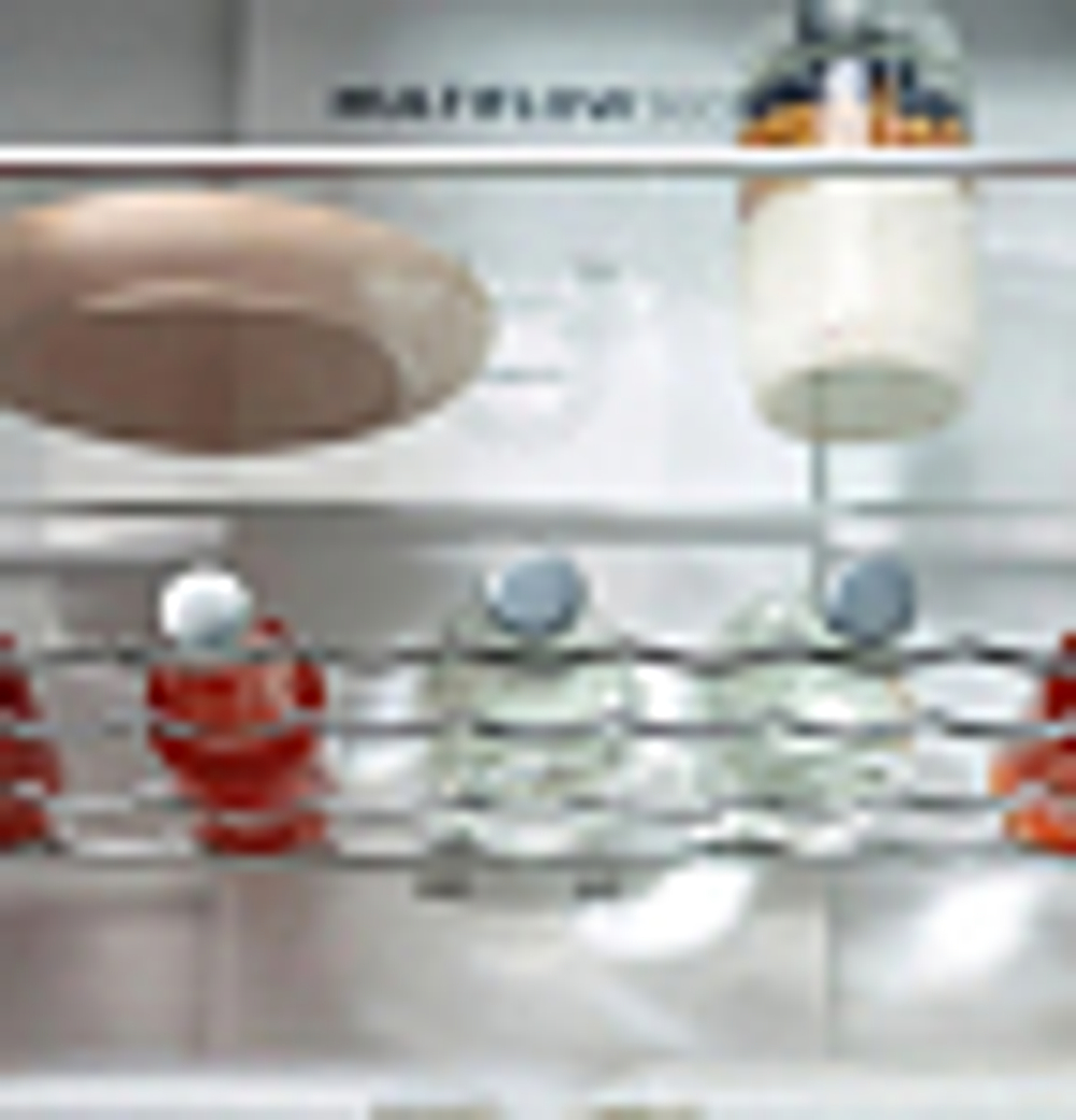Отдельностоящий холодильник Gorenje NRK6191ES4