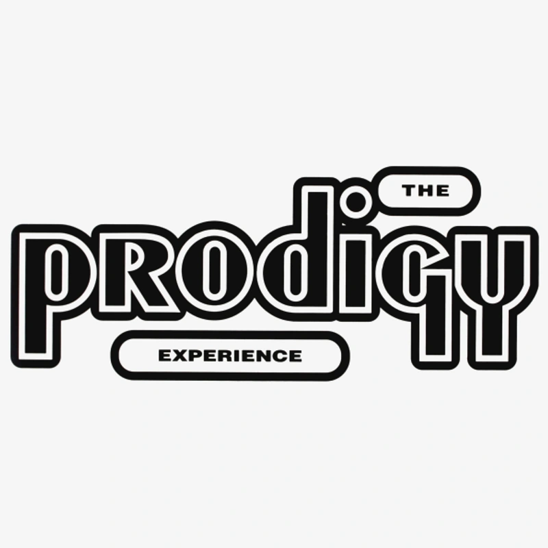 Винил PRODIGY Experience