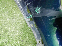 DSCN6936.jpg