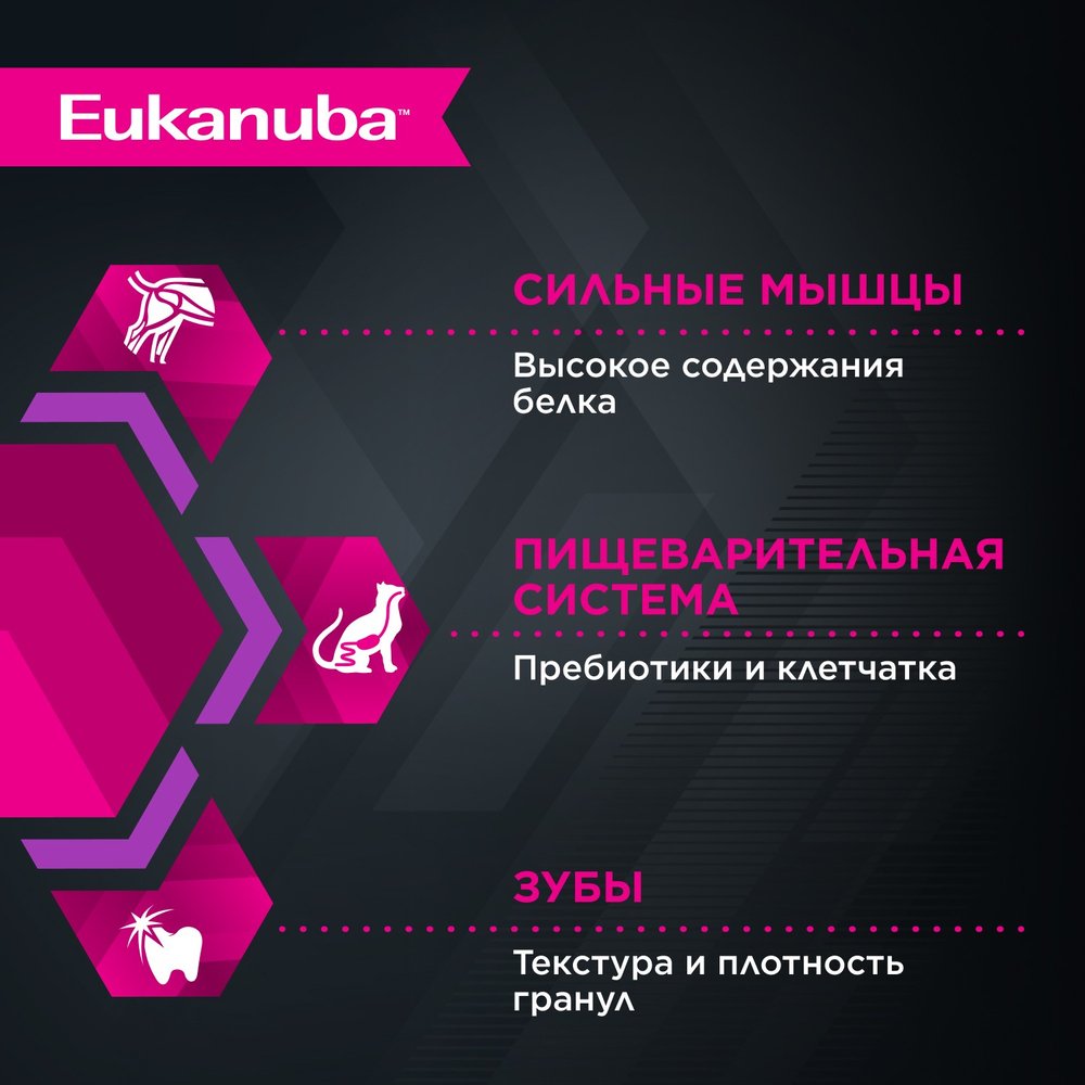 Корм сухой Eukanuba Kitten Healthy Start для котят от 1 до 12 месяцев сбалансированный, 5 кг