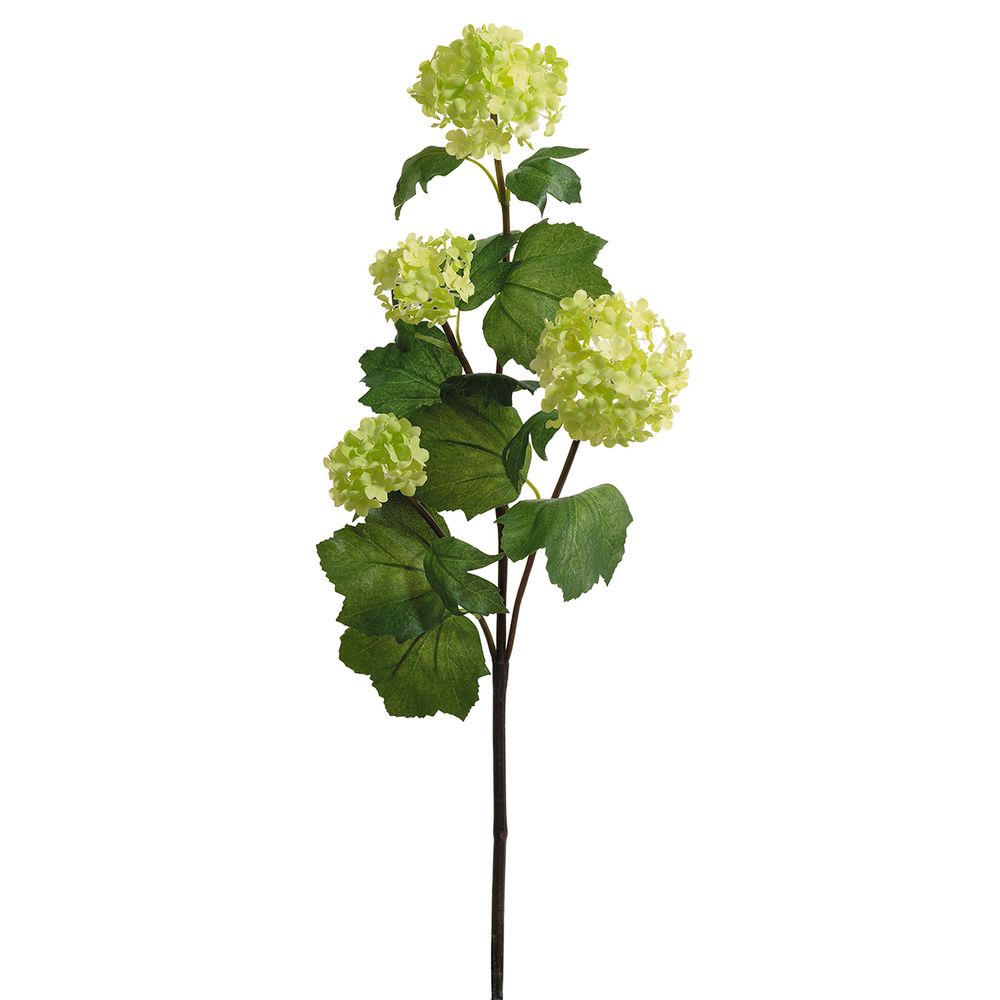 Цветок декоративный Fiebiger Floristik: Гортензия