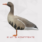 Белолобый гусь S-XPE мод. B6112X