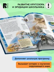 Большая энциклопедия школьника. Книга вопросов и ответов