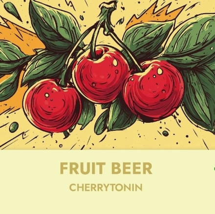 Пиво Штамм Бир Черритонин / Stamm Beer Cherrytonin 20л - кег