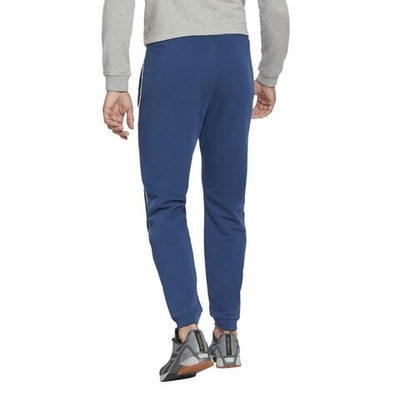 Мужские теннисные штаны Reebok Wor Piping Jogger M - batik blue