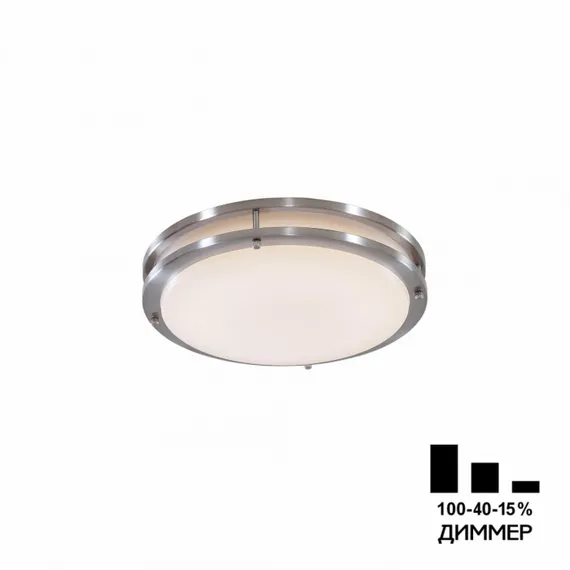 Настенно-потолочный светильник Бостон CL709201N Citilux