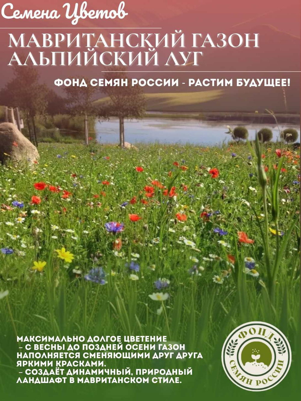 Мавританский газон "Альпийский луг", семена 30 грамм, 2 кв.м.