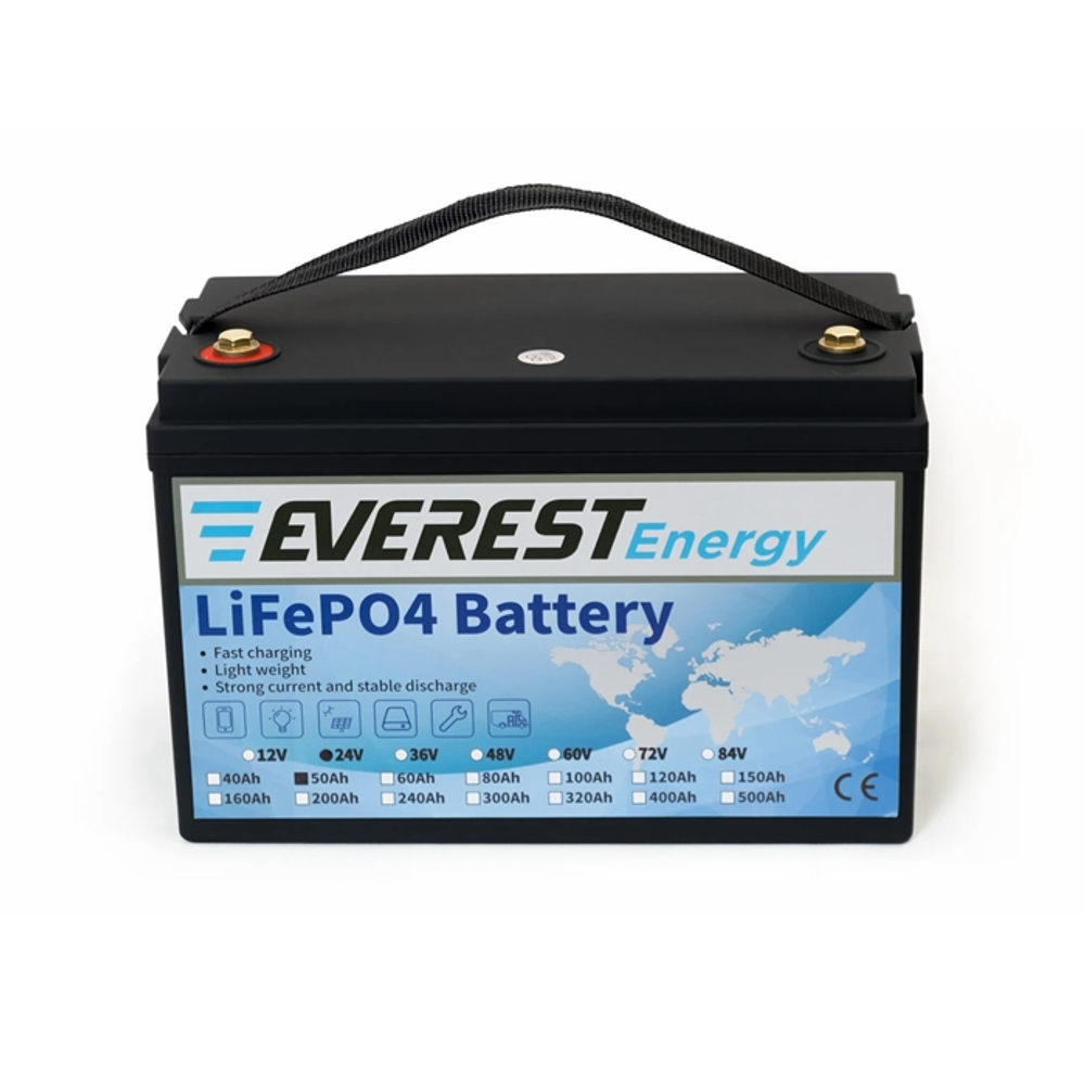 Тяговая аккумуляторная батарея Everest LFP-24V50Аh-PRO + LCD + Bluetooth