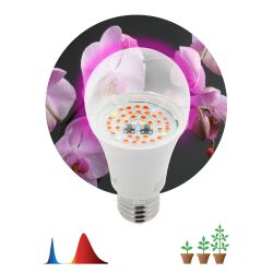 Фитолампа для растений светодиодная ЭРА FITO-14W-RB-E27 красно-синего спектра 14 Вт Е27 | Фитолампы Е27