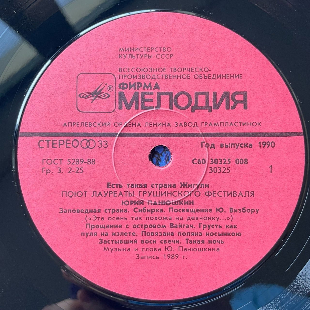 Винтажная виниловая пластинка LP Сборник Есть Такая Страна Жигули (СССР 1990)