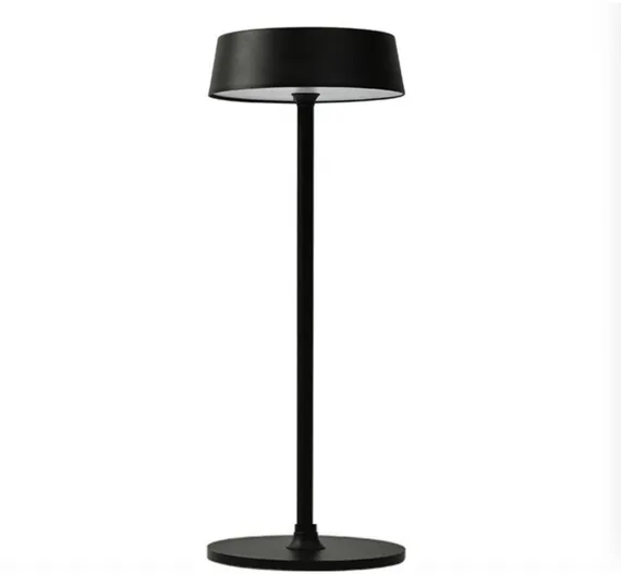Интерьерная настольная лампа OML-40504-01 Omnilux