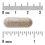 Swanson Vitamins, Sleep Essentials, 60 веганских капсул