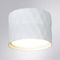 Потолочный светильник Arte Lamp Fang A5552PL-1WH