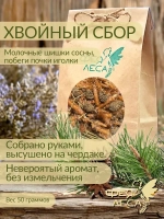 Хвойный побеги, почки,молочные шишки сосны для свечей