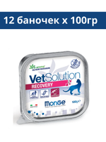 Ветеринарная диета Monge VetSolution Cat Recovery (Монж Рекавери) для кошек 12 баночек по 100гр.